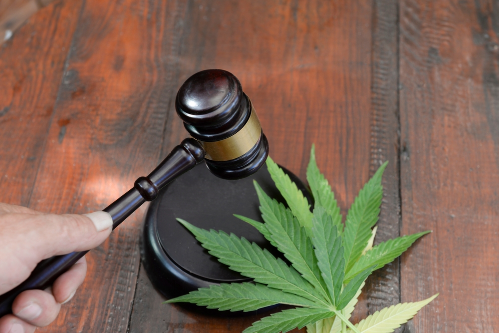 How much is too much marijuana in your system when driving
